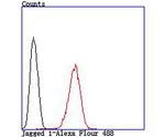 Jagged1 Antibody in Flow Cytometry (Flow)