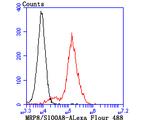 S100A8 Antibody in Flow Cytometry (Flow)