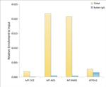 TFAM Antibody in ChIP Assay (ChIP)