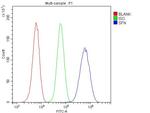 14-3-3 sigma Antibody in Flow Cytometry (Flow)