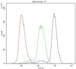 SHP2 Antibody in Flow Cytometry (Flow)