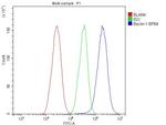 Beclin 1 Antibody in Flow Cytometry (Flow)