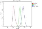 gamma Catenin Antibody in Flow Cytometry (Flow)