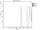 Cyclin A2 Antibody in Flow Cytometry (Flow)