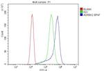 GRK3 Antibody in Flow Cytometry (Flow)