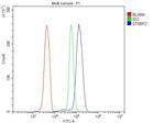 Unc18-2 Antibody in Flow Cytometry (Flow)