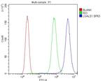 Galectin 1 Antibody in Flow Cytometry (Flow)