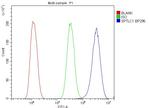 SPTLC1 Antibody in Flow Cytometry (Flow)