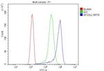 AFG3L2 Antibody in Flow Cytometry (Flow)