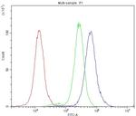 Bcl-X Antibody in Flow Cytometry (Flow)