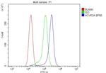 ACVR2A Antibody in Flow Cytometry (Flow)