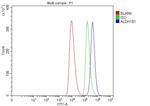 ALDH1B1 Antibody in Flow Cytometry (Flow)