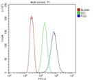 Fibrinogen gamma Antibody in Flow Cytometry (Flow)