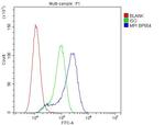 MPI Antibody in Flow Cytometry (Flow)