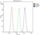 STAT1 Antibody in Flow Cytometry (Flow)