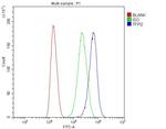 TFPI2 Antibody in Flow Cytometry (Flow)