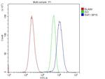 c-Raf Antibody in Flow Cytometry (Flow)