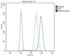 IQGAP2 Antibody in Flow Cytometry (Flow)