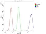 14-3-3 sigma Antibody in Flow Cytometry (Flow)