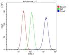 COMP Antibody in Flow Cytometry (Flow)