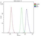 NRF1 Antibody in Flow Cytometry (Flow)