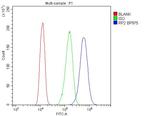 RP2 Antibody in Flow Cytometry (Flow)