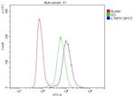 TNFR1 Antibody in Flow Cytometry (Flow)