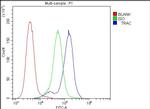 TRAC Antibody in Flow Cytometry (Flow)