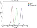 CLEC9A Antibody in Flow Cytometry (Flow)