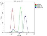 Sorcin Antibody in Flow Cytometry (Flow)