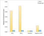 IKAROS Antibody in ChIP Assay (ChIP)