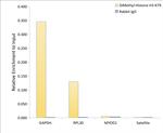 H3K79me2 Antibody in ChIP Assay (ChIP)