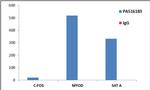 Histone H3 Antibody in ChIP Assay (ChIP)