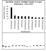 H4K20me1 Antibody