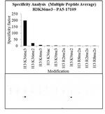 H3K36me3 Antibody in Peptide array (ARRAY)