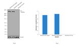 Huntingtin Antibody