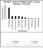 H3K18ac Antibody in Peptide array (Array)