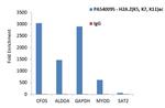 H2A.Zac pan-acetyl (K4,K7,K11) Antibody in ChIP Assay (ChIP)