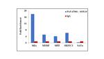 SOX10 Antibody in ChIP Assay (ChIP)