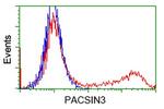 PACSIN3 Antibody in Flow Cytometry (Flow)