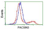 PACSIN3 Antibody in Flow Cytometry (Flow)