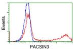 PACSIN3 Antibody in Flow Cytometry (Flow)