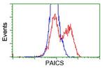 PAICS Antibody in Flow Cytometry (Flow)