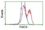 PAICS Antibody in Flow Cytometry (Flow)