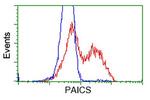 PAICS Antibody in Flow Cytometry (Flow)