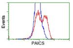 PAICS Antibody in Flow Cytometry (Flow)