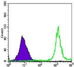 PARP1 Antibody in Flow Cytometry (Flow)