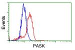 PASK Antibody in Flow Cytometry (Flow)