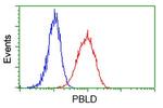 PBLD Antibody in Flow Cytometry (Flow)