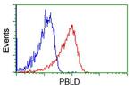 PBLD Antibody in Flow Cytometry (Flow)